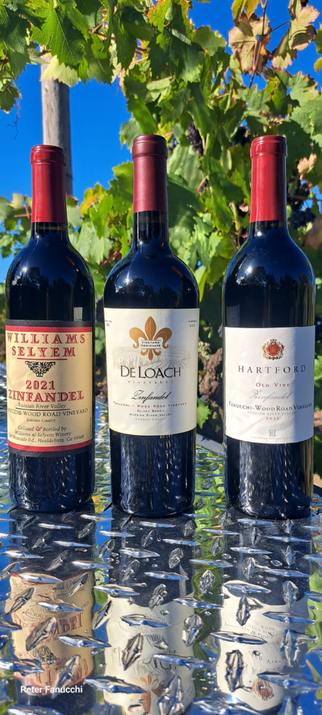 2021 was our 50th Vintage at The Fanucchi Wood Road Vineyard 1890s block Zinfandel and these are the 3 Wineries that have been splitting the fruit and Crafting some of the Finest Zinfandel Wine in the world with it for many years --- in fact 2025 was the 30th vintage for one of these!